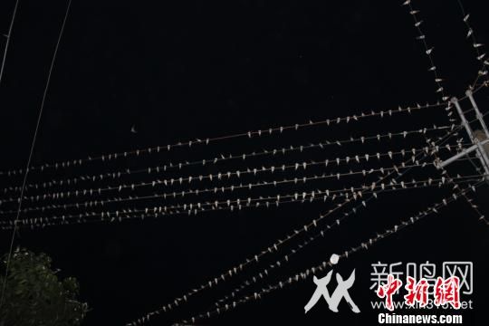 ųR(du)顡f(wn)z